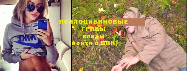 гашиш Вяземский