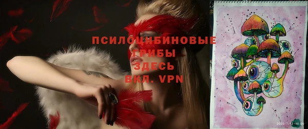 молекула духа Михайловка